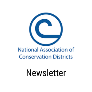 NACD Newsletter