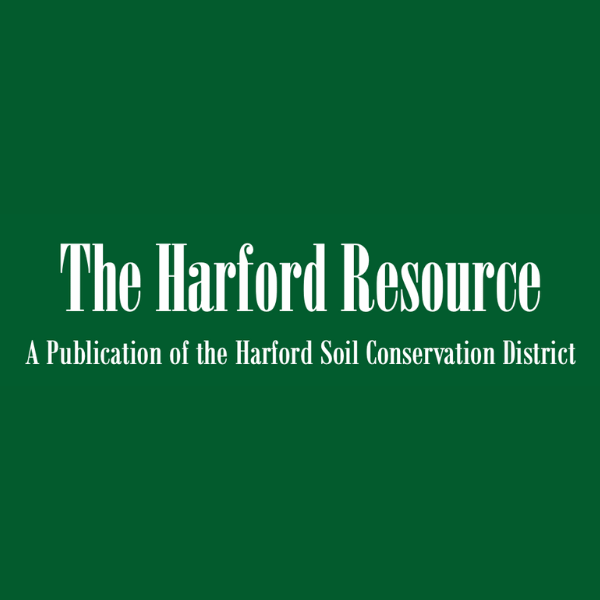 Open newsletter page